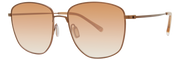 20-53