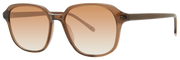 20-55