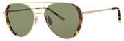 20-61