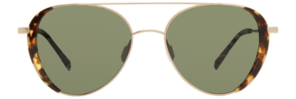 20-61