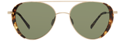 20-61