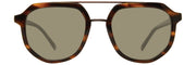 Russell in Tortoise
